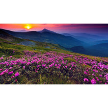 Lade das Bild in den Galerie-Viewer, Blumen Welt - volle Diamant-Malerei - 30x40cm