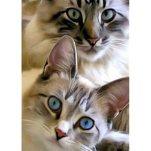 Lade das Bild in den Galerie-Viewer, Katze - volle Diamant-Malerei - 30x40cm