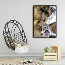 Lade das Bild in den Galerie-Viewer, Katze - volle Diamant-Malerei - 30x40cm