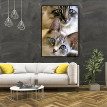 Lade das Bild in den Galerie-Viewer, Katze - volle Diamant-Malerei - 30x40cm