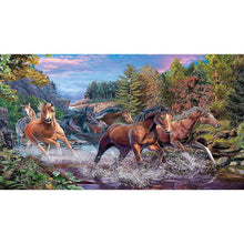 Lade das Bild in den Galerie-Viewer, Pferd - volle Diamant-Malerei - 50x100cm