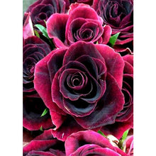 Lade das Bild in den Galerie-Viewer, Kreuzstich Blume Handwerk - voller Diamant-Malerei - 30x40cm