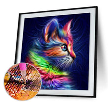 Lade das Bild in den Galerie-Viewer, Volle Catpicture - volle Diamant-Malerei - 30x30cm