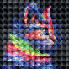 Lade das Bild in den Galerie-Viewer, Volle Catpicture - volle Diamant-Malerei - 30x30cm