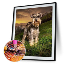 Lade das Bild in den Galerie-Viewer, Grauer Hund - volle Diamant-Malerei - 30x40cm