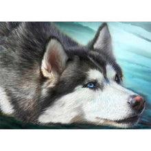 Lade das Bild in den Galerie-Viewer, Hund Headpictures - volle Diamant-Malerei - 40x30cm