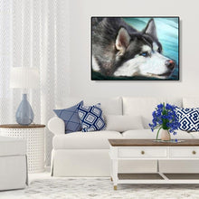 Lade das Bild in den Galerie-Viewer, Hund Headpictures - volle Diamant-Malerei - 40x30cm
