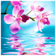 Lade das Bild in den Galerie-Viewer, Blumen - volle Diamant-Malerei - 30x30cm