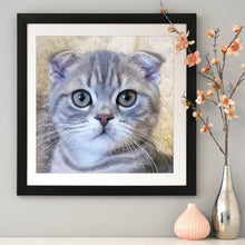 Lade das Bild in den Galerie-Viewer, CatArt - volldiamante Malerei - 30x30cm