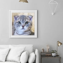 Lade das Bild in den Galerie-Viewer, CatArt - volldiamante Malerei - 30x30cm