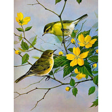 Lade das Bild in den Galerie-Viewer, Chatten Vogel - volle Diamant-Malerei - 40x30cm