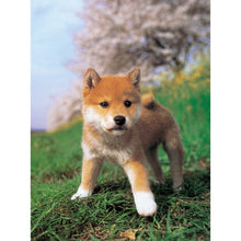 Lade das Bild in den Galerie-Viewer, Neugieriger Hund - volle Diamant-Malerei - 40x30cm