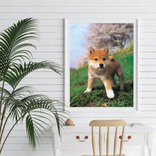 Lade das Bild in den Galerie-Viewer, Neugieriger Hund - volle Diamant-Malerei - 40x30cm