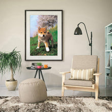 Lade das Bild in den Galerie-Viewer, Neugieriger Hund - volle Diamant-Malerei - 40x30cm