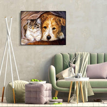 Lade das Bild in den Galerie-Viewer, Langweilige Katze Hund - voller Diamant-Malerei - 40x30cm