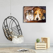 Lade das Bild in den Galerie-Viewer, Langweilige Katze Hund - voller Diamant-Malerei - 40x30cm