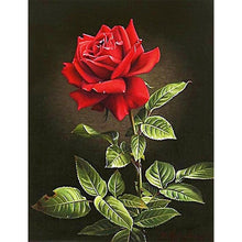 Lade das Bild in den Galerie-Viewer, Blume rosepicture - volle Diamant-Malerei - 30x40cm