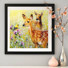 Lade das Bild in den Galerie-Viewer, Grashirsch - voller runder Diamant - 30x30cm