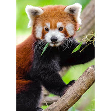 Lade das Bild in den Galerie-Viewer, Klettern Koala - volle Runde Diamant-Malerei - 30x40cm