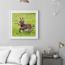 Lade das Bild in den Galerie-Viewer, Esel - voller runder Diamant - 30x30cm