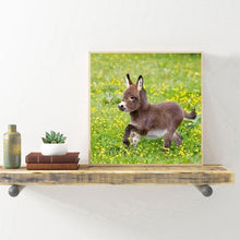 Lade das Bild in den Galerie-Viewer, Esel - voller runder Diamant - 30x30cm