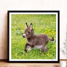 Lade das Bild in den Galerie-Viewer, Esel - voller runder Diamant - 30x30cm
