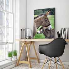 Lade das Bild in den Galerie-Viewer, Esel - voller runder Diamant - 30x40cm