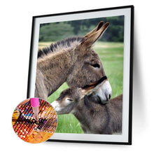 Lade das Bild in den Galerie-Viewer, Esel - voller runder Diamant - 30x40cm