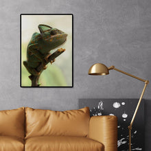 Lade das Bild in den Galerie-Viewer, Farbwechsel Tier - voller runder Diamant - 30x40cm