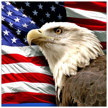 Lade das Bild in den Galerie-Viewer, Adler - voller runder Diamant - 40x40cm