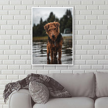 Lade das Bild in den Galerie-Viewer, Hund - voller runder Diamant - 30x40cm