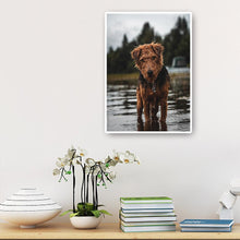 Lade das Bild in den Galerie-Viewer, Hund - voller runder Diamant - 30x40cm