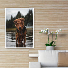Lade das Bild in den Galerie-Viewer, Hund - voller runder Diamant - 30x40cm