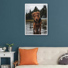 Lade das Bild in den Galerie-Viewer, Hund - voller runder Diamant - 30x40cm