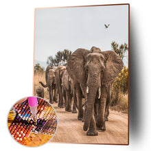 Lade das Bild in den Galerie-Viewer, Elefant auf der Straße - voller runder Diamant - 30x40cm
