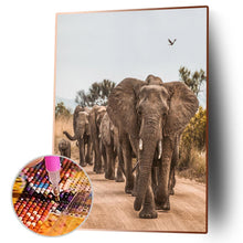Lade das Bild in den Galerie-Viewer, Elefant auf der Straße - voller runder Diamant - 30x40cm