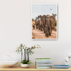 Elefant auf der Straße - voller runder Diamant - 30x40cm