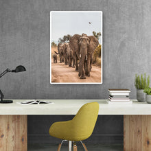 Lade das Bild in den Galerie-Viewer, Elefant auf der Straße - voller runder Diamant - 30x40cm