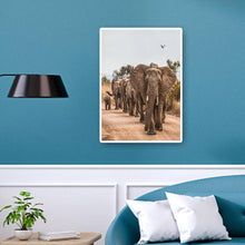 Lade das Bild in den Galerie-Viewer, Elefant auf der Straße - voller runder Diamant - 30x40cm