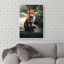 Lade das Bild in den Galerie-Viewer, Fuchs auf Straße Ornamente - voller runder Diamant - 30x40cm