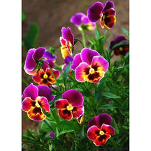 Lade das Bild in den Galerie-Viewer, Blütenblüten - voller runder Diamant - 30x40cm