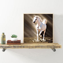 Lade das Bild in den Galerie-Viewer, Pferd - voller runder Diamant - 30x30cm