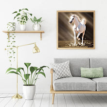 Lade das Bild in den Galerie-Viewer, Pferd - voller runder Diamant - 30x30cm