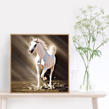 Lade das Bild in den Galerie-Viewer, Pferd - voller runder Diamant - 30x30cm