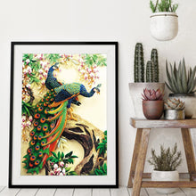 Lade das Bild in den Galerie-Viewer, Pfau - voller quadratischer Diamant - 40x50cm