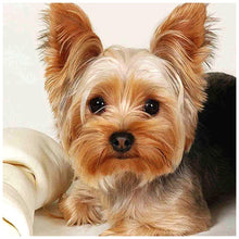 Lade das Bild in den Galerie-Viewer, Hund Tier - voller runder Diamant - 30x30cm