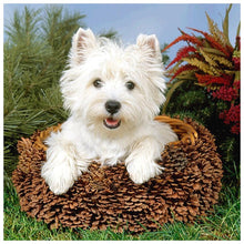 Lade das Bild in den Galerie-Viewer, Hund - voller runder Diamant - 30x30cm
