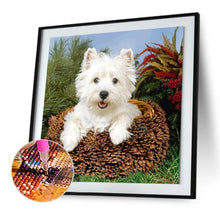 Lade das Bild in den Galerie-Viewer, Hund - voller runder Diamant - 30x30cm