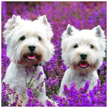 Lade das Bild in den Galerie-Viewer, Hund Tier - voller runder Diamant - 30x30cm