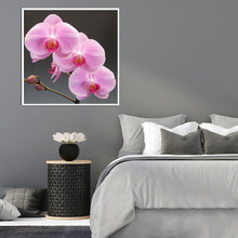 Lade das Bild in den Galerie-Viewer, Blumen - voller runder Diamant - 30x30cm